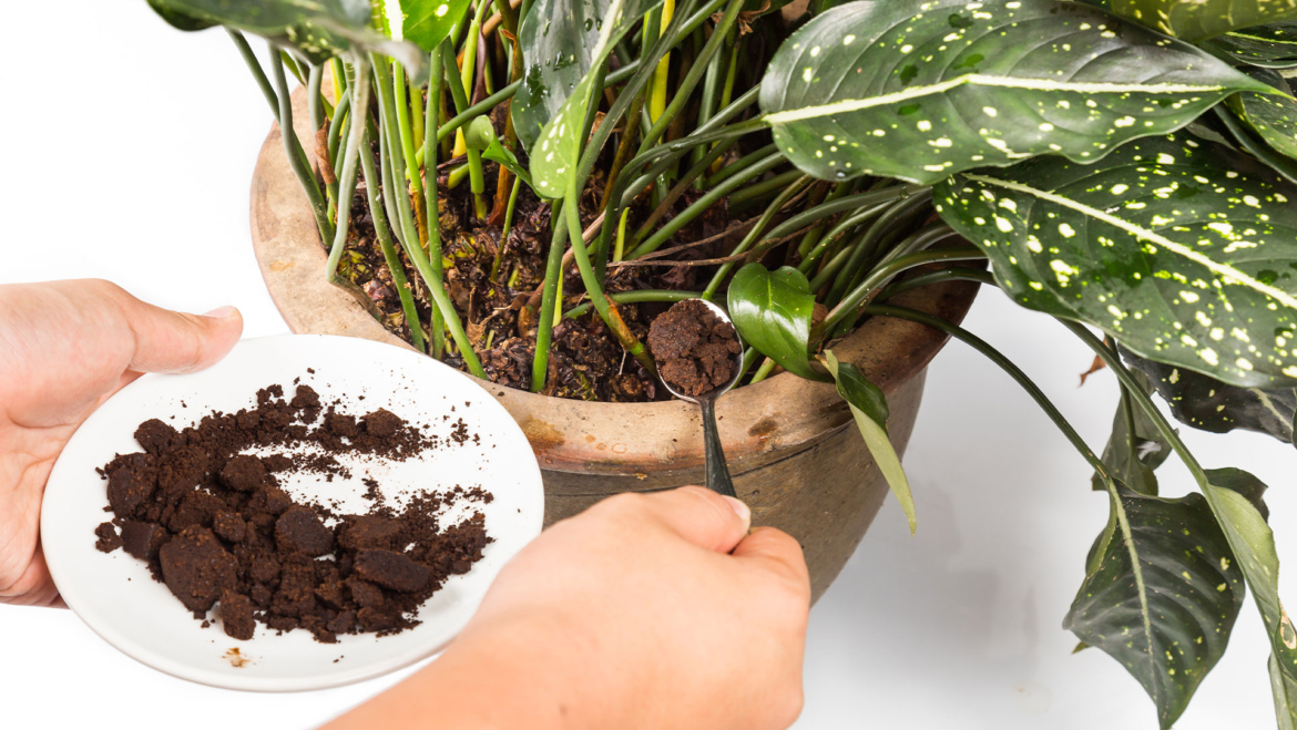 Fertilizer and Pest Control