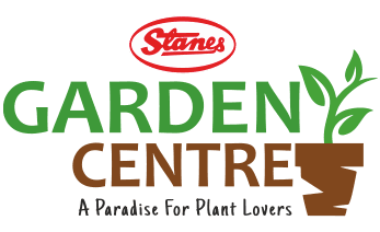 logo-main